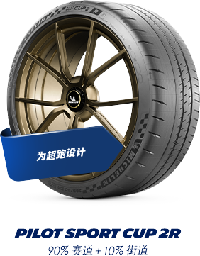 PILOT_SPORT_CUP_2R